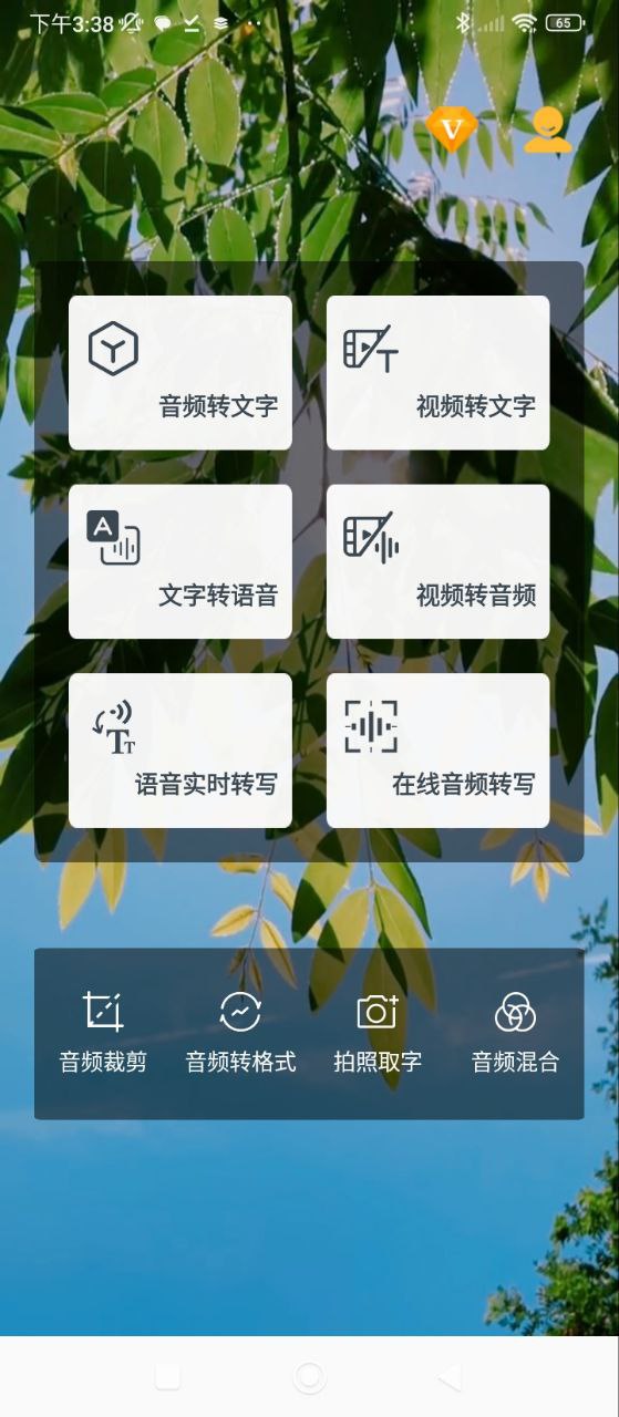 音频转文字下载app软件_音频转文字网站下载v29